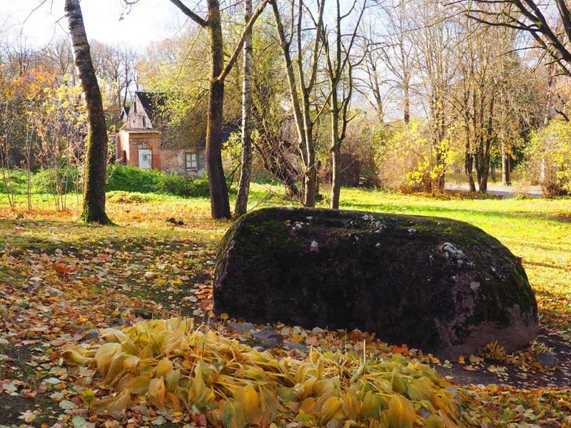 Renātas Rimšas foto (2016)